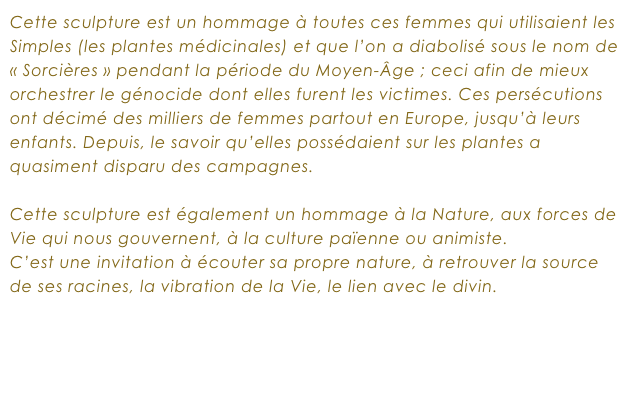 Cette sculpture est un hommage à toutes ces femmes qui utilisaient les Simples (les plantes médicinales) et que l’on a diabolisé sous le nom de « Sorcières » pendant la période du Moyen-Âge ; ceci afin de mieux orchestrer le génocide dont elles furent les victimes. Ces persécutions ont décimé des milliers de femmes partout en Europe, jusqu’à leurs enfants. Depuis, le savoir qu’elles possédaient sur les plantes a quasiment disparu des campagnes.

Cette sculpture est également un hommage à la Nature, aux forces de Vie qui nous gouvernent, à la culture païenne ou animiste.
C’est une invitation à écouter sa propre nature, à retrouver la source de ses racines, la vibration de la Vie, le lien avec le divin.
